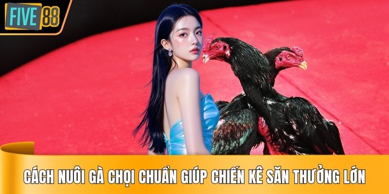 cách nuôi gà chọi