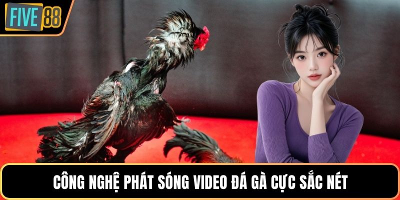 Công nghệ phát sóng video đá gà cực sắc nét